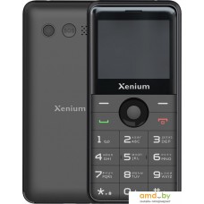 Кнопочный телефон Xenium X700 (черный)