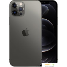 Смартфон Apple iPhone 12 Pro 128GB (графитовый)