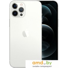 Смартфон Apple iPhone 12 Pro Max 256GB (серебристый)