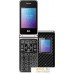 Смартфон BQ-Mobile BQ-2446 Dream Duo (черный). Фото №1