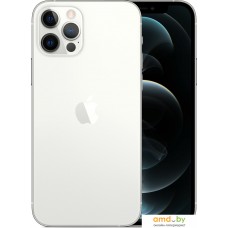 Смартфон Apple iPhone 12 Pro 256GB (серебристый)