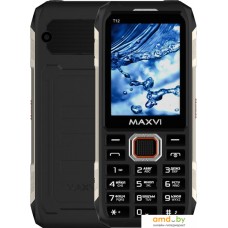 Кнопочный телефон Maxvi T12 (черный)