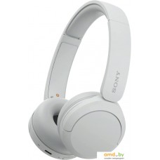 Наушники Sony WH-CH520 (белый)