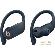 Наушники Beats Powerbeats Pro (темно-синий)