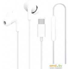 Xiaomi Type-C Earphones M2413E1 (белый, международная версия)