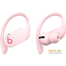 Наушники Beats Powerbeats Pro (облачный розовый)