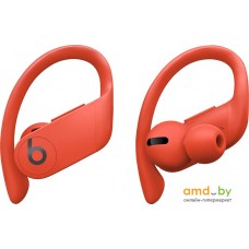 Наушники Beats Powerbeats Pro (огненно-красный)