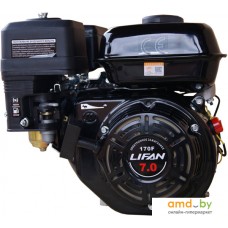 Бензиновый двигатель Lifan 170FM D19