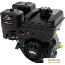 Бензиновый двигатель Briggs&Stratton XR1450 Professional Series