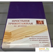 Постельное белье Альвитек Трикотажная на резинке 160x200x20 ПТР-БАК-160 (баклажан)