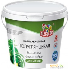 Эмаль Olecolor Полуглянцевая 800 г (бирюзовый)