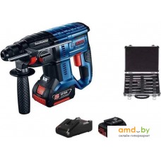 Перфоратор Bosch GBH 180-LI Professional 0615990M33 (с 2-мя АКБ 4 Ач, кейс, оснастка)