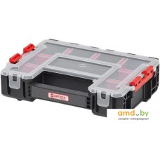 Органайзер Qbrick System Regular Organizer 300