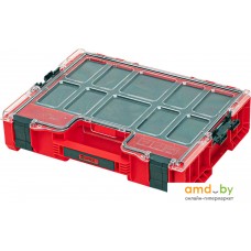 Органайзер Qbrick System PRO Organizer 300 RED MFI Ultra HD