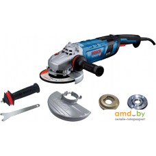 Угловая шлифмашина Bosch GWS 30-230 B Professional 06018G1000