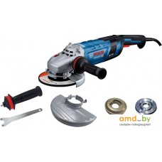 Угловая шлифмашина Bosch GWS 30-230 PB Professional 06018G1100