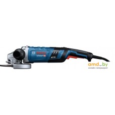 Угловая шлифмашина Bosch GWS 30-180 B Professional 06018G0000