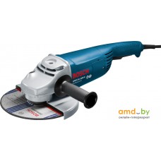 Угловая шлифмашина Bosch GWS 24-180 H Professional [0601883103]