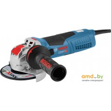 Угловая шлифмашина Bosch GWX 17-125 S Professional 06017C4002