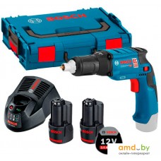 Шуруповерт для гипсокартона Bosch GTB 12V-11 Professional 06019E4000 (с 2-мя АКБ)