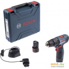 Ударная дрель-шуруповерт Bosch GSB 120-LI Professional 06019G8100 (с 2-мя АКБ, кейс)