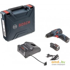Дрель-шуруповерт Bosch GSR 12V-30 Professional 06019G9000 (с 2-мя АКБ, кейс)