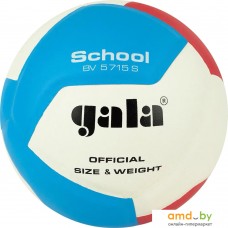 Волейбольный мяч Gala School 12 BV 5715 S (размер 5, белый/красный/голубой)