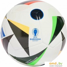 Футбольный мяч Adidas Euro24 Training IN9366 (5 размер)