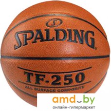 Мяч Spalding TF-250 (размер 6)