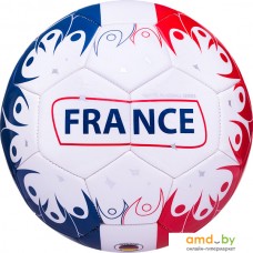 Мяч Jogel Flagball France (5 размер)