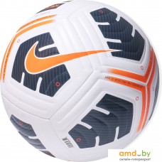 Мяч Nike Academy Pro CU8038-101 (5 размер, белый/черный)