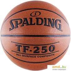 Мяч Spalding TF-250 (5 размер)