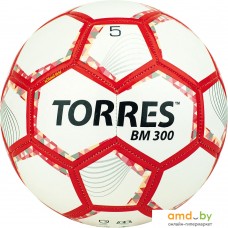 Мяч Torres BM300 F320745 (5 размер)