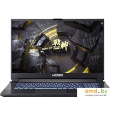 Игровой ноутбук Hasee G8R9