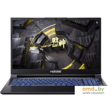 Игровой ноутбук Hasee Z8D6 FHD