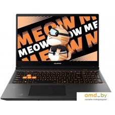 Colorful Evol MEOW R15 A10305000029