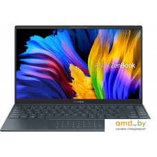 Ноутбук ASUS ZenBook 14 UM425UA-AM006