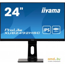 Монитор Iiyama ProLite XUB2492HSC-B1