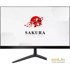 Монитор Sakura MCA-F-024