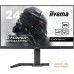 Игровой монитор Iiyama G-Master GB2445HSU-B1. Фото №1