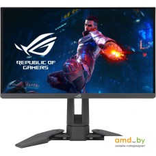 Игровой монитор ASUS ROG Swift Pro PG248QP