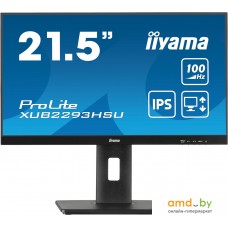 Монитор Iiyama ProLite XUB2293HSU-B6