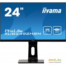 Монитор Iiyama ProLite XUB2492HSN-B1