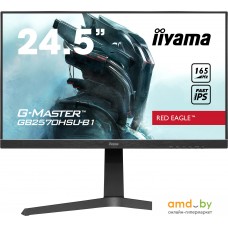 Монитор Iiyama G-Master GB2570HSU-B1