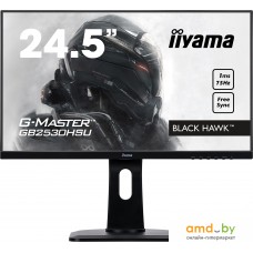 Монитор Iiyama Black Hawk G-Master GB2530HSU-B1