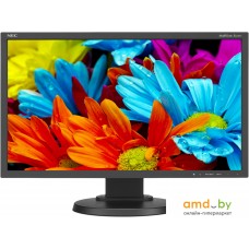 Монитор NEC MultiSync E224Wi Black/Black